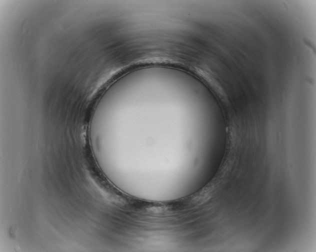 X0000099540160200805160757