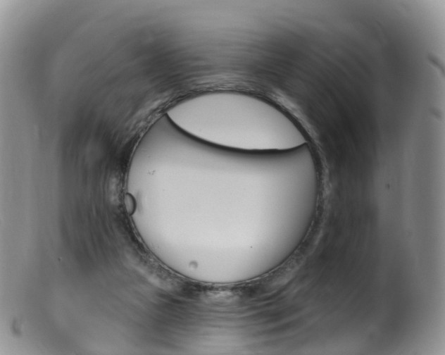 X0000099540161200805160757