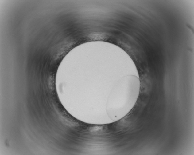 X0000099540162200805160757