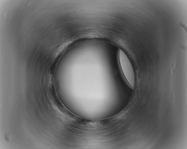 X0000099540164200805160757