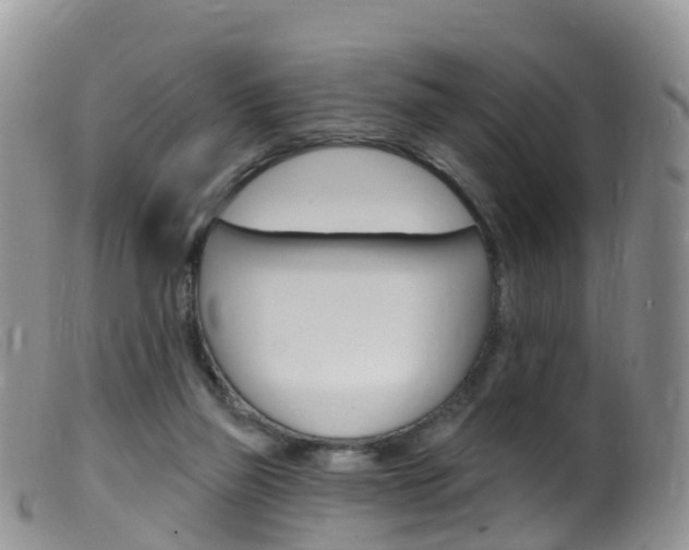 X0000099540165200805160757