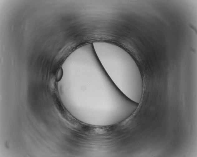 X0000099540166200805160757