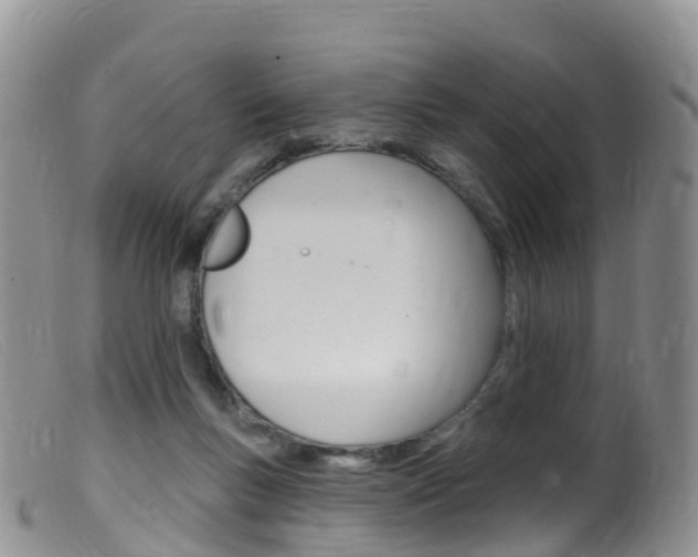 X0000099540167200805160757