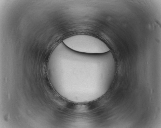 X0000099540169200805160757
