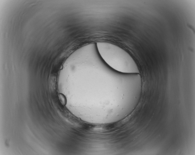 X0000099540171200805160757