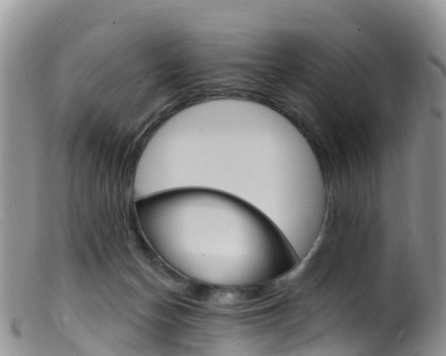 X0000099540174200805160757
