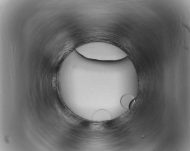 X0000099540175200805160757