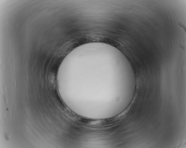 X0000099540178200805160757