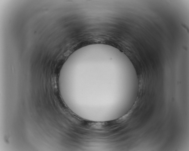 X0000099540182200805160757