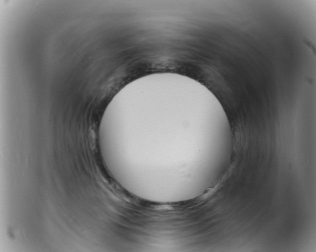 X0000099540183200805160757