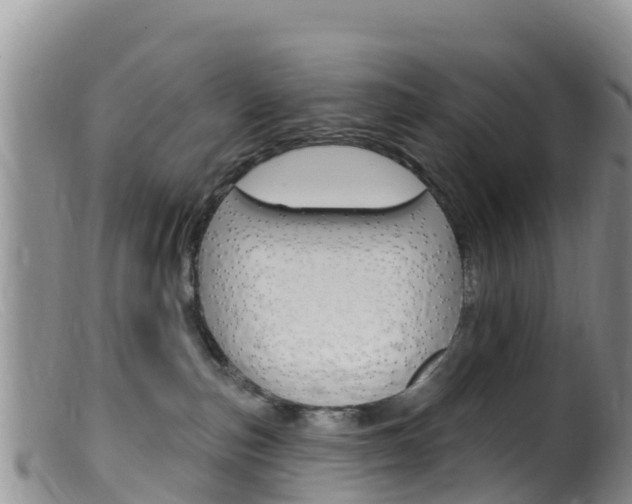 X0000099540187200805160757