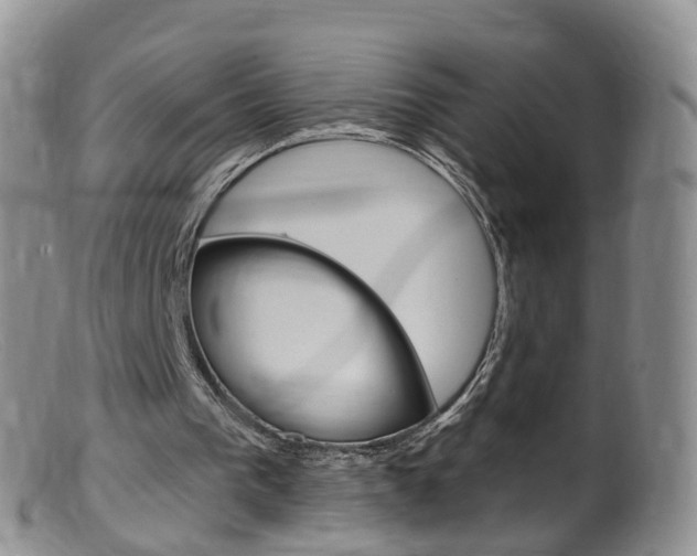 X0000099540193200805160757