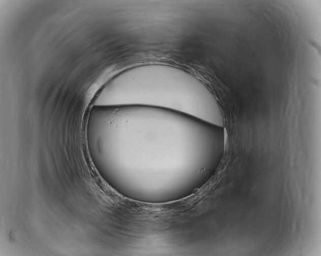 X0000099540195200805160757