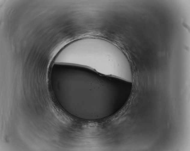 X0000099540196200805160757