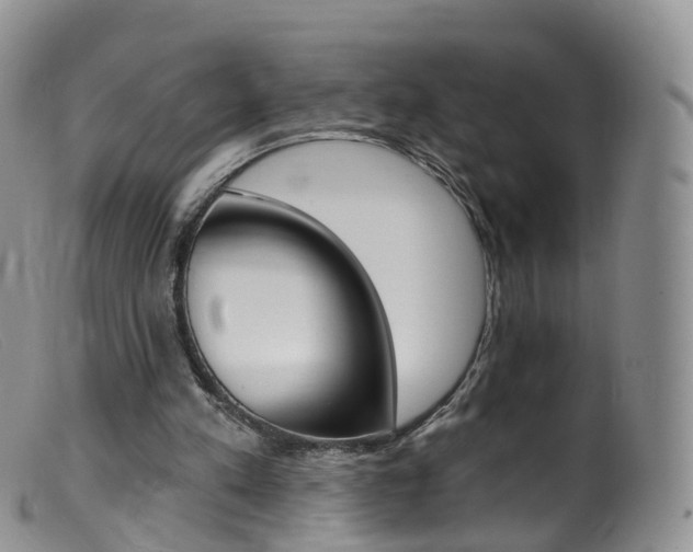 X0000099540197200805160757