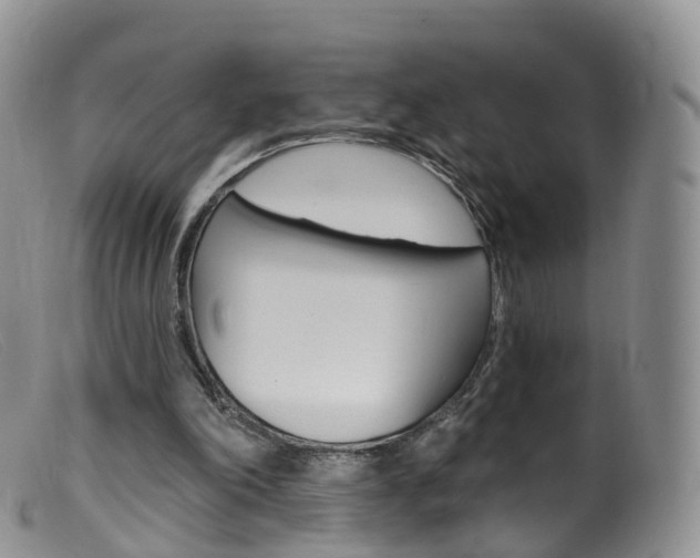 X0000099540198200805160757