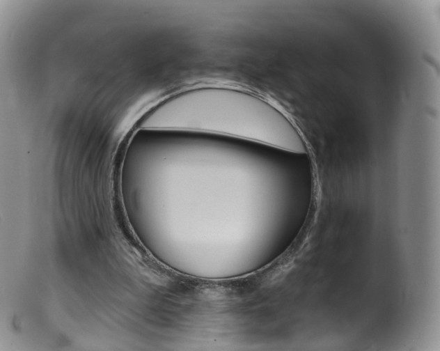 X0000099540199200805160757