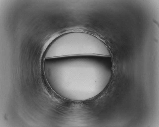 X0000099540200200805160757