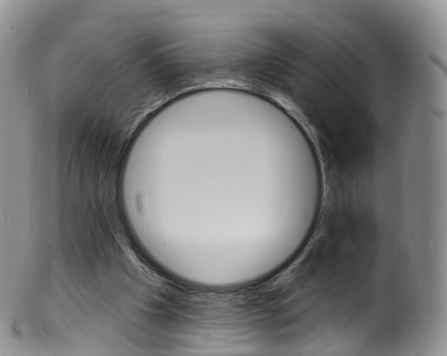 X0000099540201200805160757