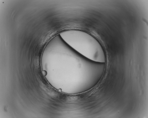X0000099540202200805160757