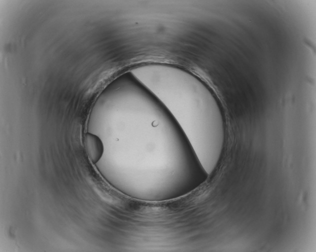 X0000099540205200805160756