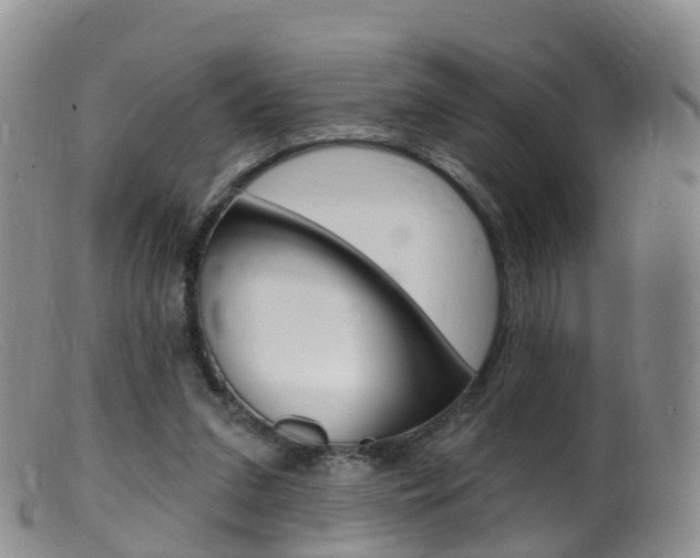 X0000099540207200805160756