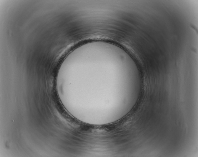 X0000099540208200805160756