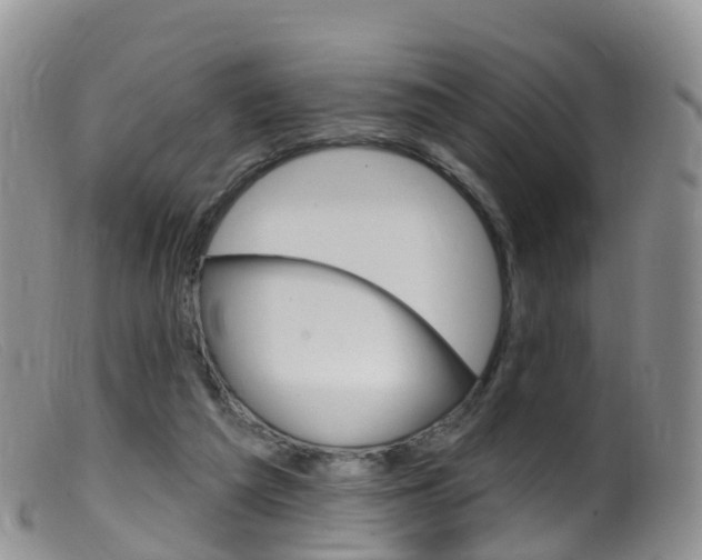 X0000099540209200805160756