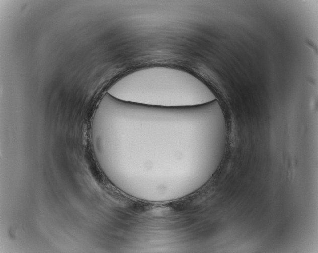 X0000099540210200805160756
