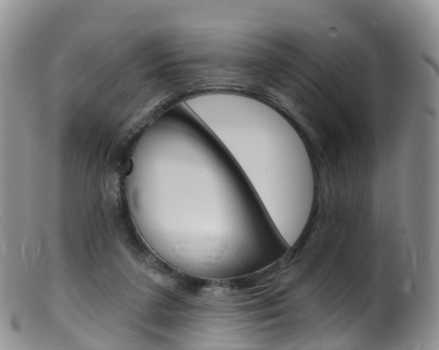 X0000099540211200805160756