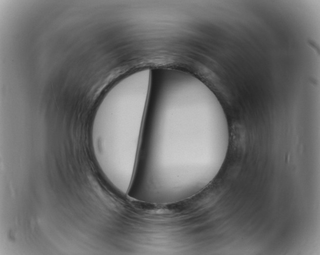 X0000099540212200805160756