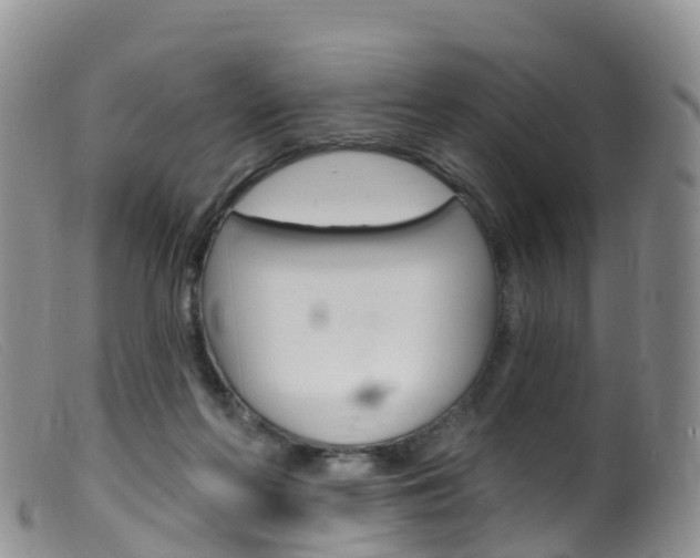 X0000099540214200805160756