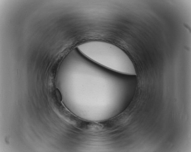 X0000099540215200805160756