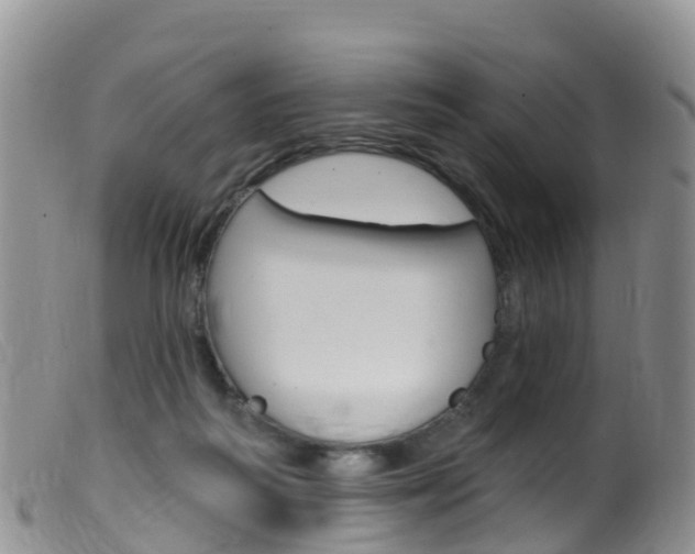 X0000099540218200805160756