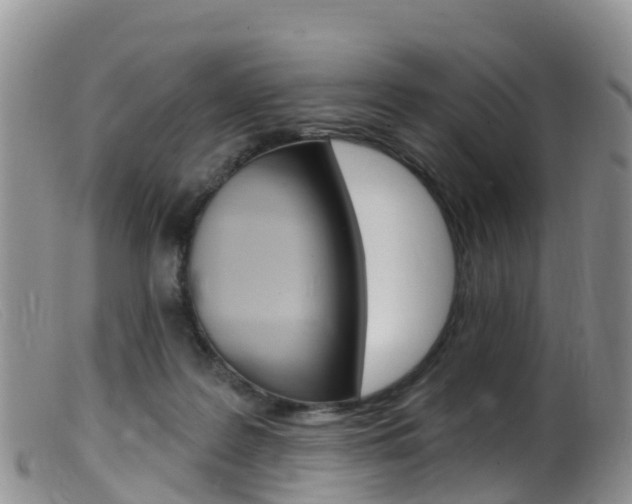 X0000099540219200805160756