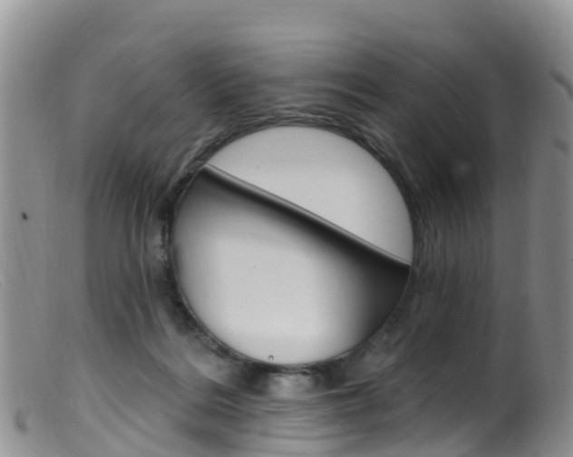 X0000099540220200805160756