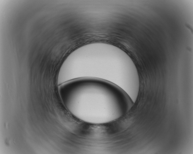 X0000099540221200805160756