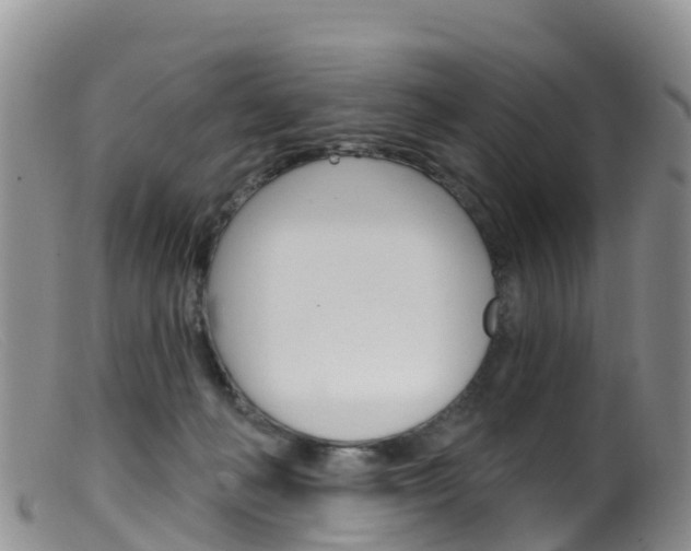 X0000099540222200805160756