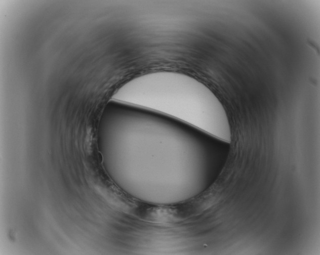 X0000099540223200805160756