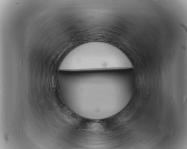 X0000099540224200805160756