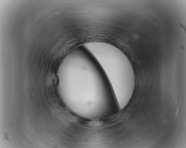 X0000099540225200805160756
