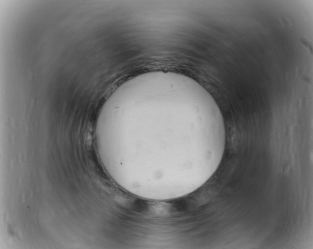 X0000099540226200805160756