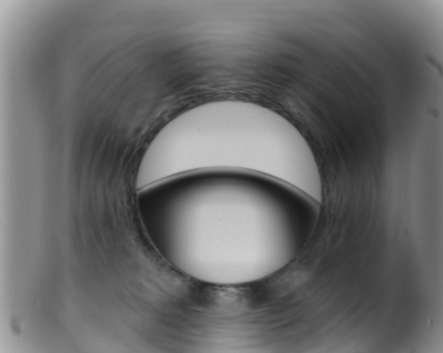 X0000099540229200805160756
