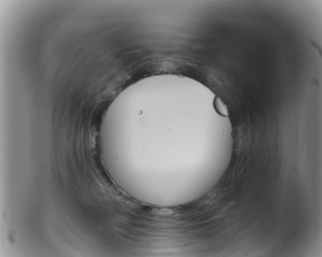 X0000099540230200805160756
