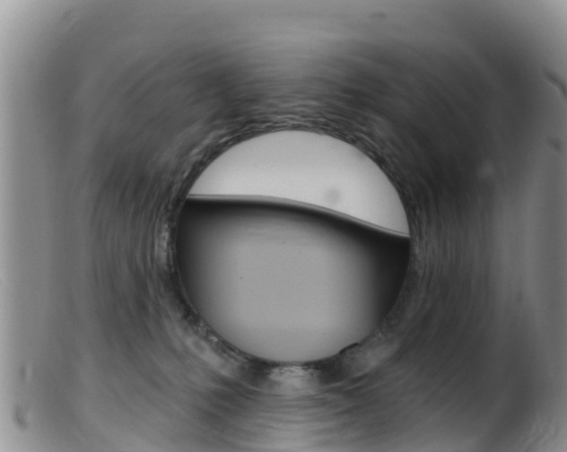 X0000099540231200805160756