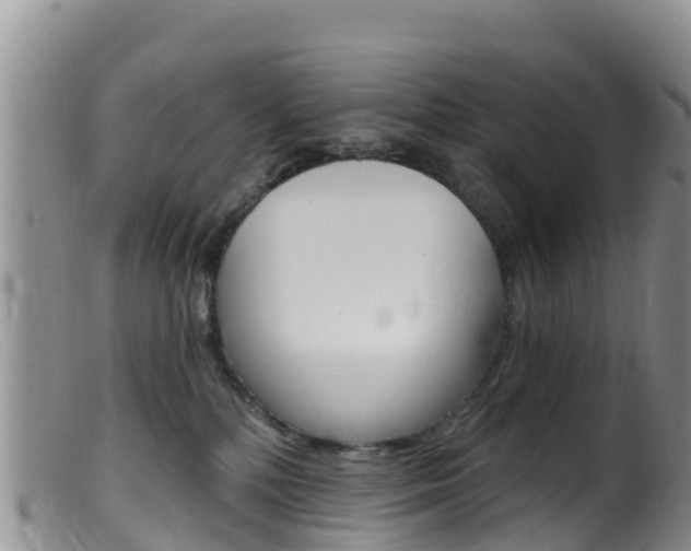 X0000099540232200805160756