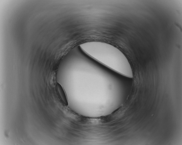 X0000099540233200805160756