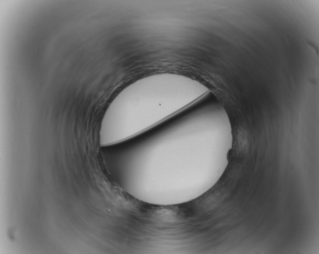 X0000099540236200805160756