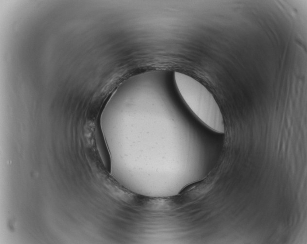 X0000099540237200805160756