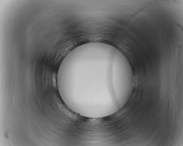 X0000099540238200805160756
